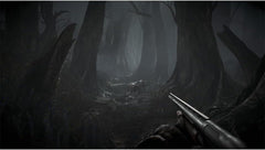 Total Chaos / PS5 / Playstation 5