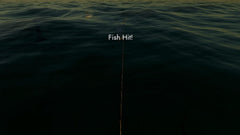 Fishing: North Atlantic - Complete Edition / PS5 / Playstation 5