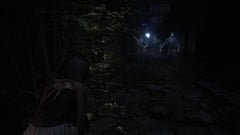 Fatal Frame II: Crimson Butterfly / PS5 / Playstation 5