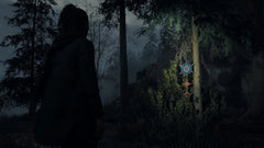 Alan Wake 2 Deluxe Edition / PS5 / Playstation 5 - GD Games