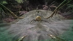 ARK Survival Evolve / PS4 / Playstation 4 - GD Games
