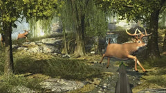 Big Buck Hunter Arcade - Nintendo Switch - GD Games