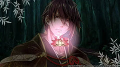Birushana: Rising Flower of Genpei - Nintendo Switch - GD Games