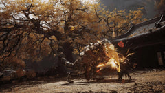 Black Myth: Wukong / PS5 / Playstation - GD Games 
