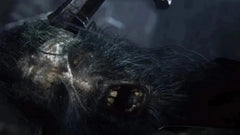 Bloodborne / PS4 / Playstation 4 - GD Games