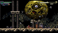 Chronicles of the Wolf - Nintendo Switch - GD Games 