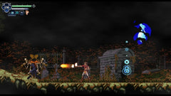 Chronicles of the Wolf - Nintendo Switch - GD Games