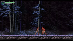 Chronicles of the Wolf - Nintendo Switch - GD Games