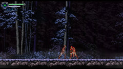 Chronicles of the Wolf / PS5 / Playstation 5 - GD Games