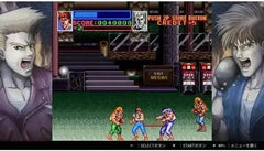 Double Dragon Collection - Nintendo Switch - GD Games