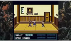 Double Dragon Collection - Nintendo Switch - GD Games