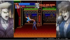 Double Dragon Collection - Nintendo Switch - GD Games