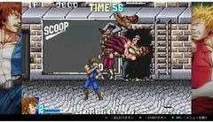 Double Dragon Collection - Nintendo Switch - GD Games