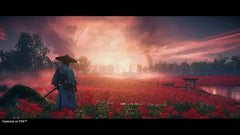 Ghost Of Tsushima: Director's Cut / PS4 / Playstation 4 - GD Games