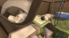 House Flipper Pets Edition - Nintendo Switch - GD Games