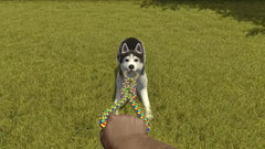 House Flipper Pets Edition - Nintendo Switch - GD Games