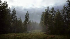 Hunting Simulator 2 / PS4 / Playstation 4 - GD Games