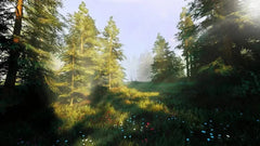 Hunting Simulator 2 / PS4 / Playstation 4 - GD Games