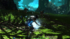 Kingdoms of Amalur Re-Reckoning - Nintendo Switch - GD Games 