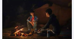 Life is Strange 2 / PS4 / Playstation 4 - GD Games