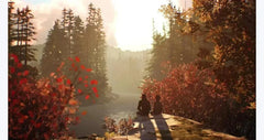 Life is Strange 2 / PS4 / Playstation 4 - GD Games