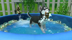 Little Friends Puppy Island - NIntendo Switch - GD Games