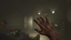 Madison: Possessed Edition / PS5 / Playstation 5 - GD Games