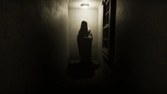 Madison VR - Cursed Edition / PSVR2 / PS5 / Playstation 5 - GD Games 