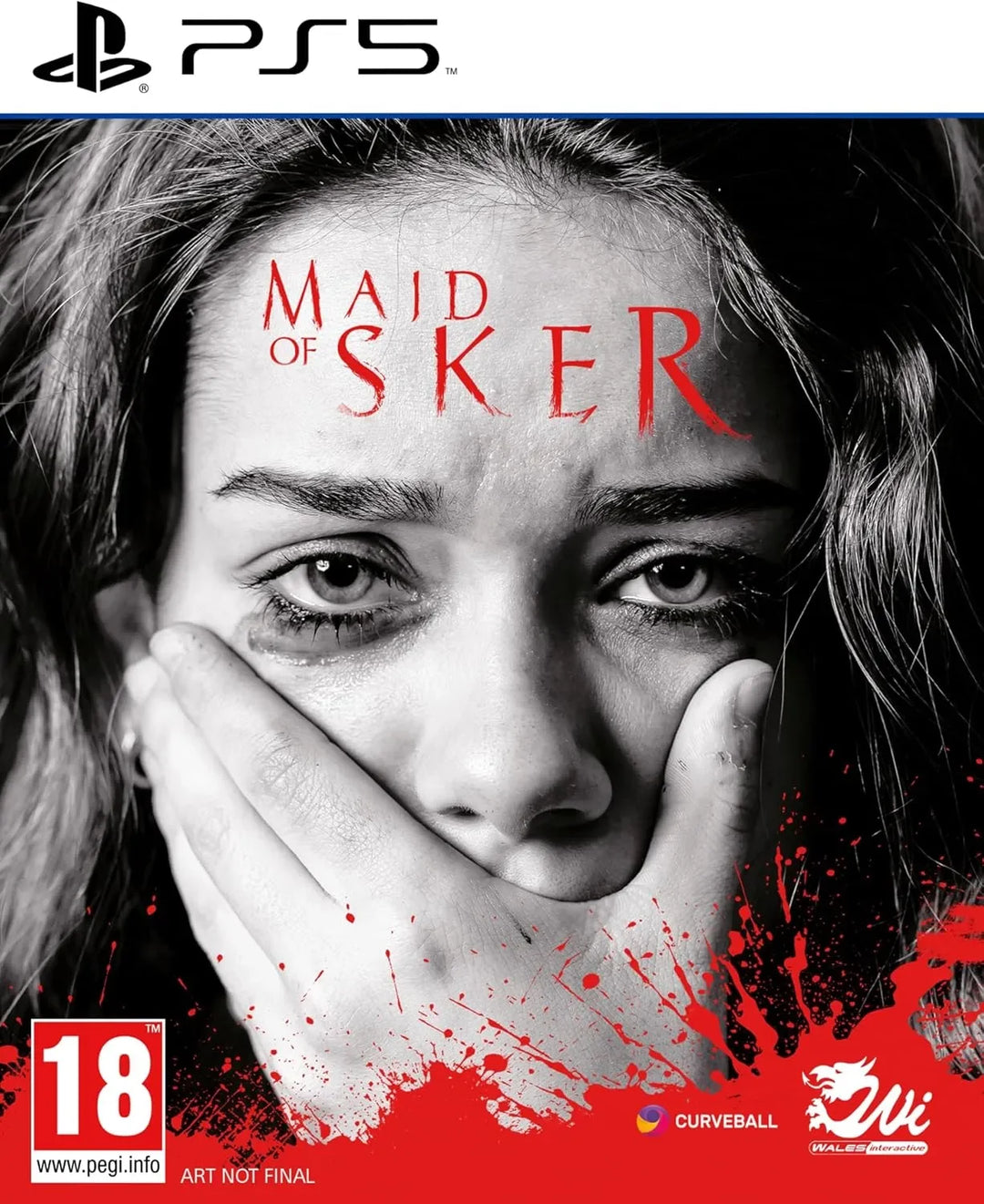 Maid of Sker / PS5 / Playstation 5 - GD Games
