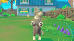 My Universe - Pets Edition: Puppies and Kittens + Pet Clinic Cats - Nintendo Switch - GD Games 