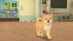 My Universe - Pets Edition: Puppies and Kittens + Pet Clinic Cats - Nintendo Switch - GD Games