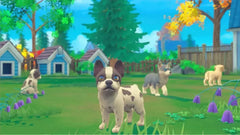 My Universe - Pets Edition: Puppies and Kittens + Pet Clinic Cats - Nintendo Switch - GD Games