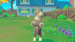 My Universe - Pets Edition: Puppies and Kittens + Pet Clinic Cats - Nintendo Switch - GD Games