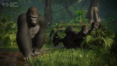 Planet Zoo: Console Edition / PS5 / Playstation 5 - GD Games