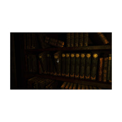 Portrait of a Torn / PS5 / Playstation 5 - GD Games 