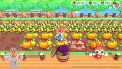 Pretty Princess Magical Garden Island - Nintendo Switch - GD Games 