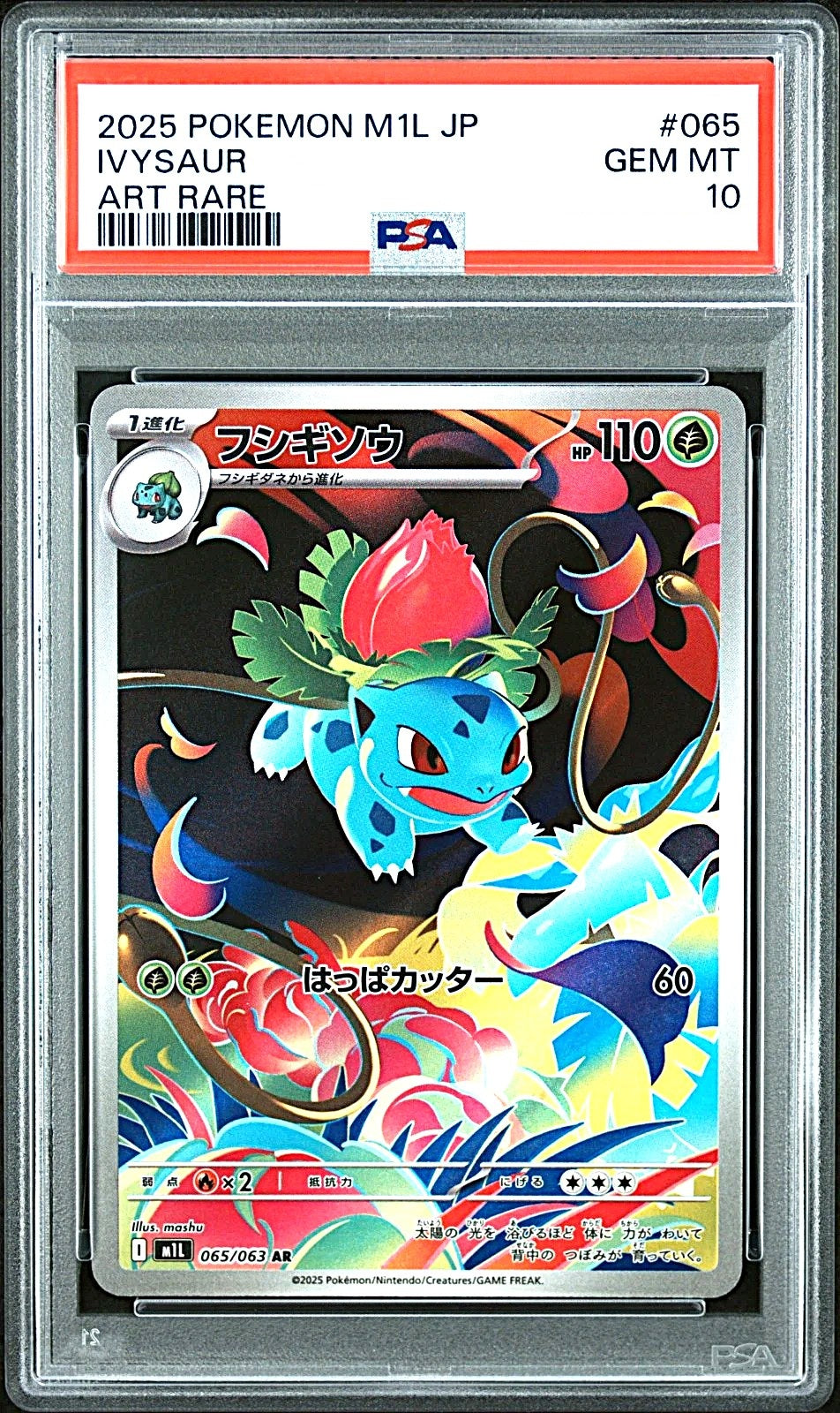 PSA 10 / Mega Brave / Ivysaur 065 - Japanese Pokemon TCG