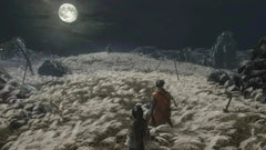 Sekiro Shadows Die Twice Game of the Year Edition / PS4 / Playstation 4 - GD Games