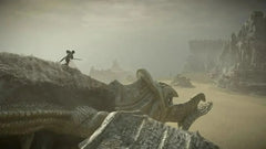 Shadow of The Colossus / PS4 / Playstation 4 - GD Games 
