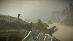 Shadow of The Colossus / PS4 / Playstation 4 - GD Games