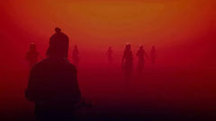 SIFU / Vengeance Edition / PS4 / Playstation 4 - GD Games 