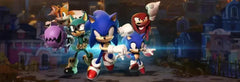 Sonic Forces / PS4 / Playstation 4 - GD Games