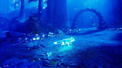 Spirit of The North - Nintendo Switch - GD Games
