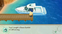 Story of Seasons: Friends of Mineral Town - Nintendo Switch - GD Games 