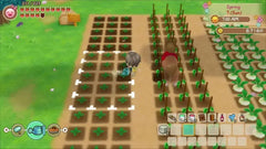 Story of Seasons: Friends of Mineral Town - Nintendo Switch - GD Games