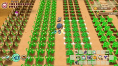 Story of Seasons: Friends of Mineral Town - Nintendo Switch - GD Games