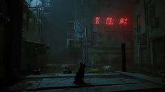 Stray - Nintendo Switch - GD Games