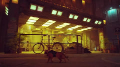 Stray - Nintendo Switch - GD Games