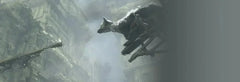 The Last Guardian / PS4 / Playstation 4 - GD Games