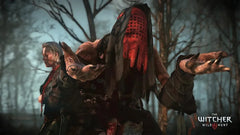 The Witcher 3 Wild Hunt Game of The Year Edition / PS4 / Playstation 4 - GD Games